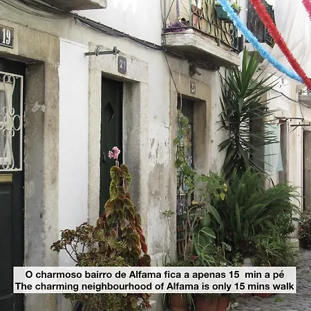 Appartement Apt In 8 Building - Center *
